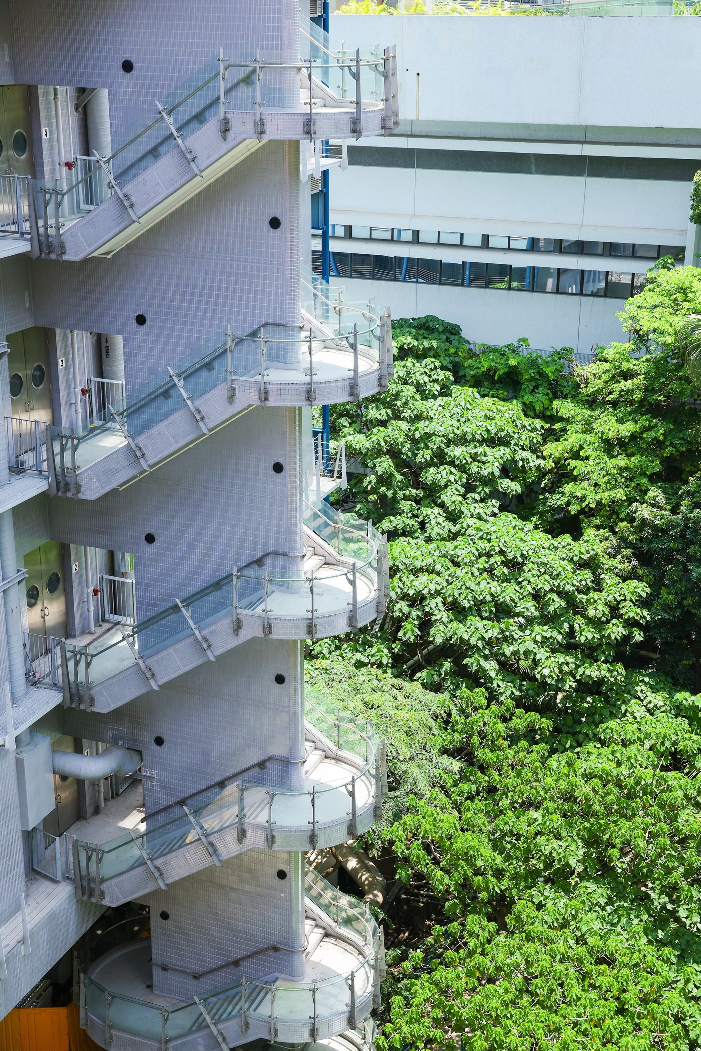校园沉浸