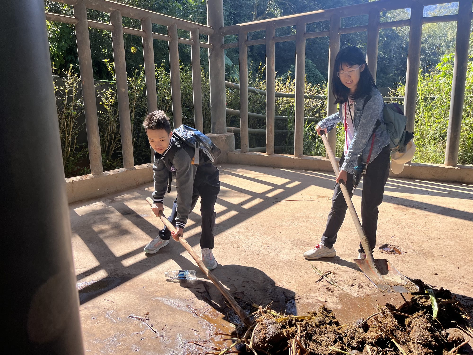西双版纳热带雨林动植物生态保护志愿者项目 · 真实项目现场 07