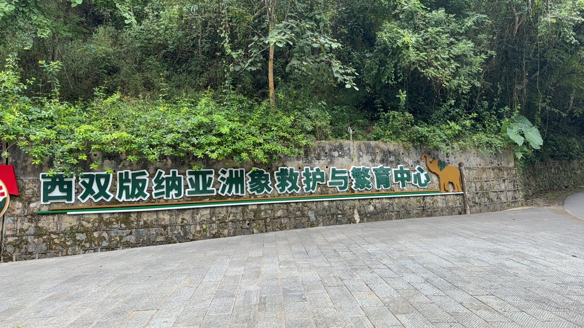 西双版纳热带雨林动植物生态保护志愿者项目 · 项目现场