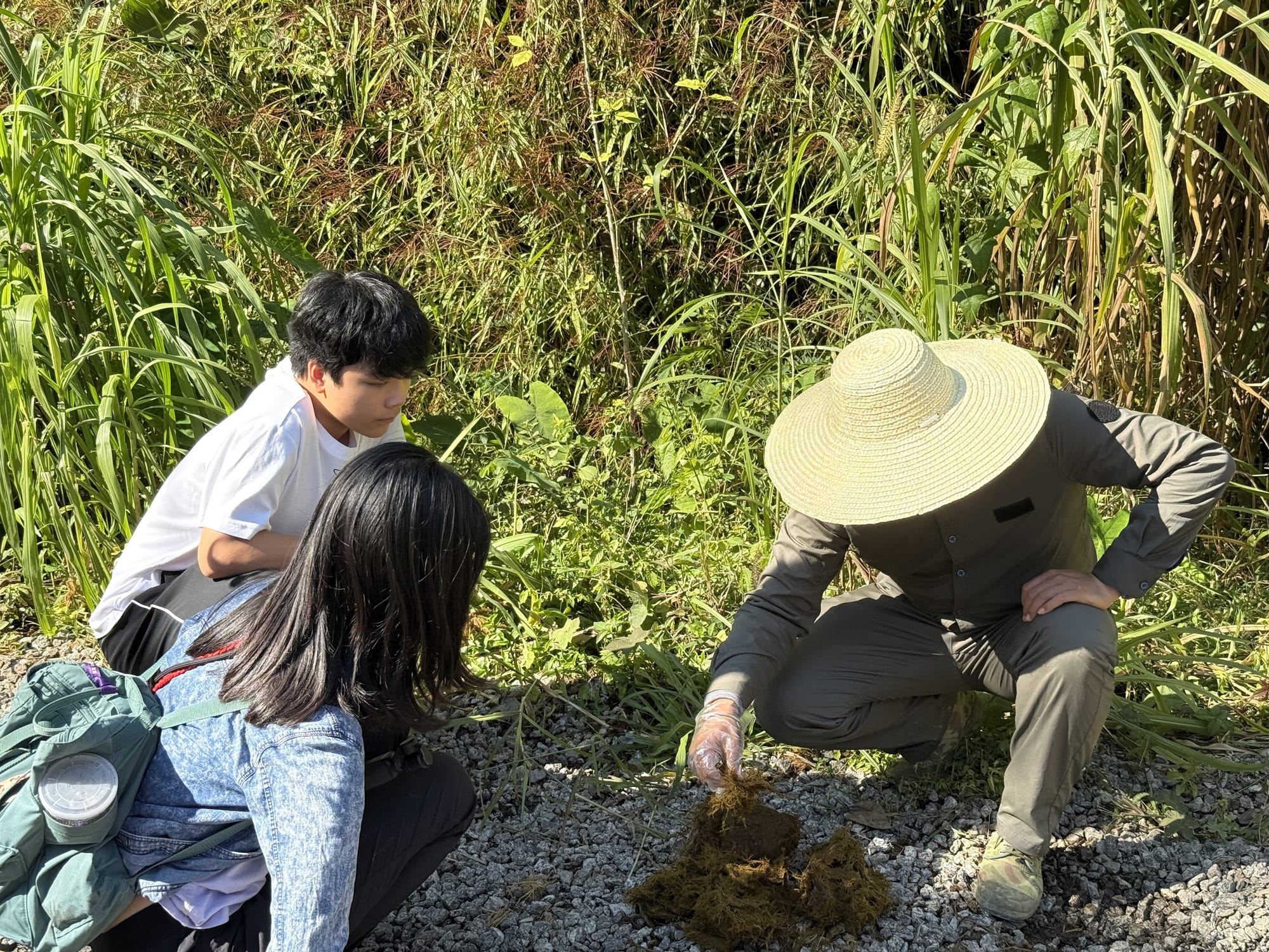 西双版纳热带雨林动植物生态保护志愿者项目 · 真实项目现场 13