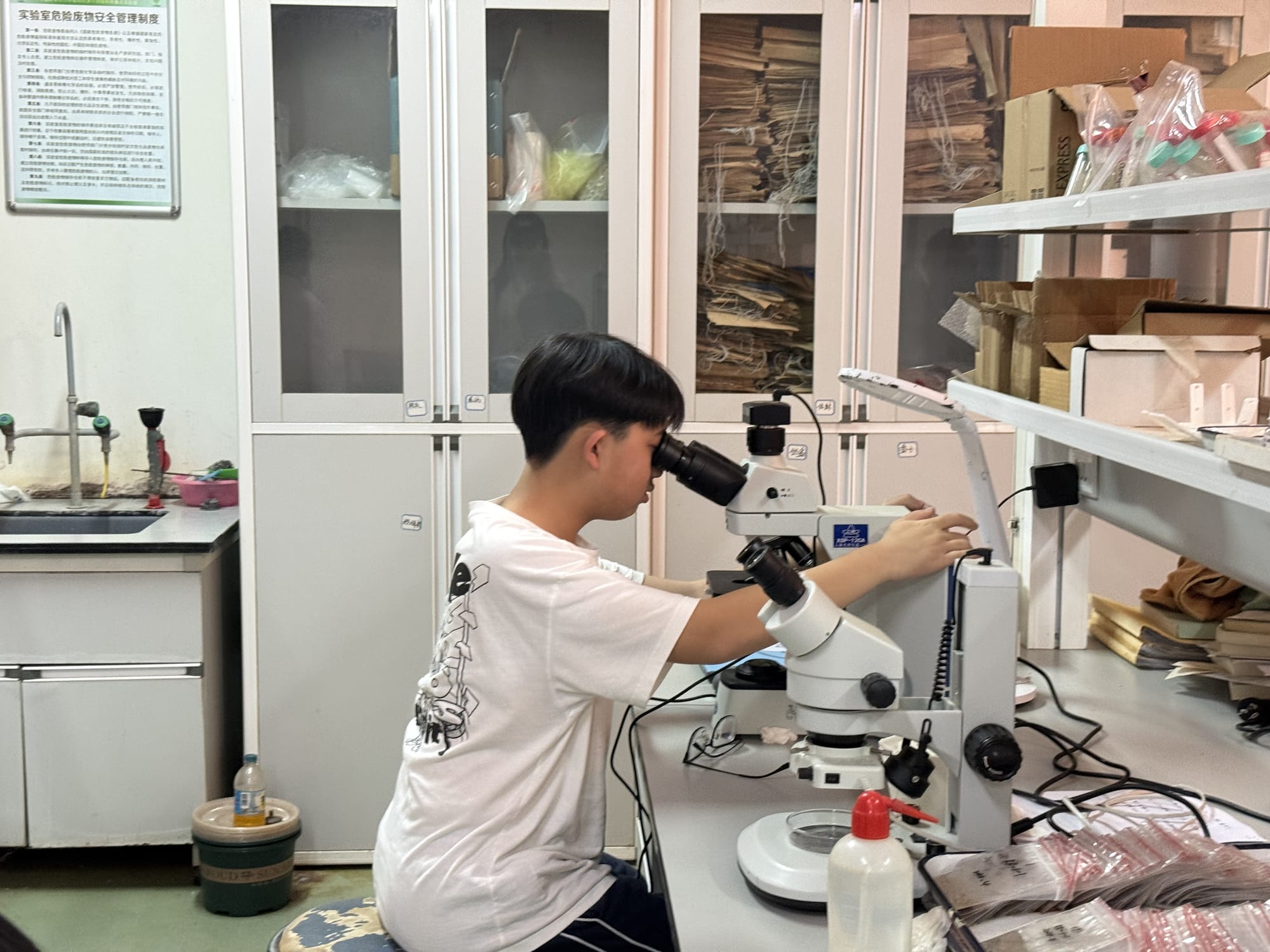 西双版纳热带雨林动植物生态保护志愿者项目 · 真实项目现场 17