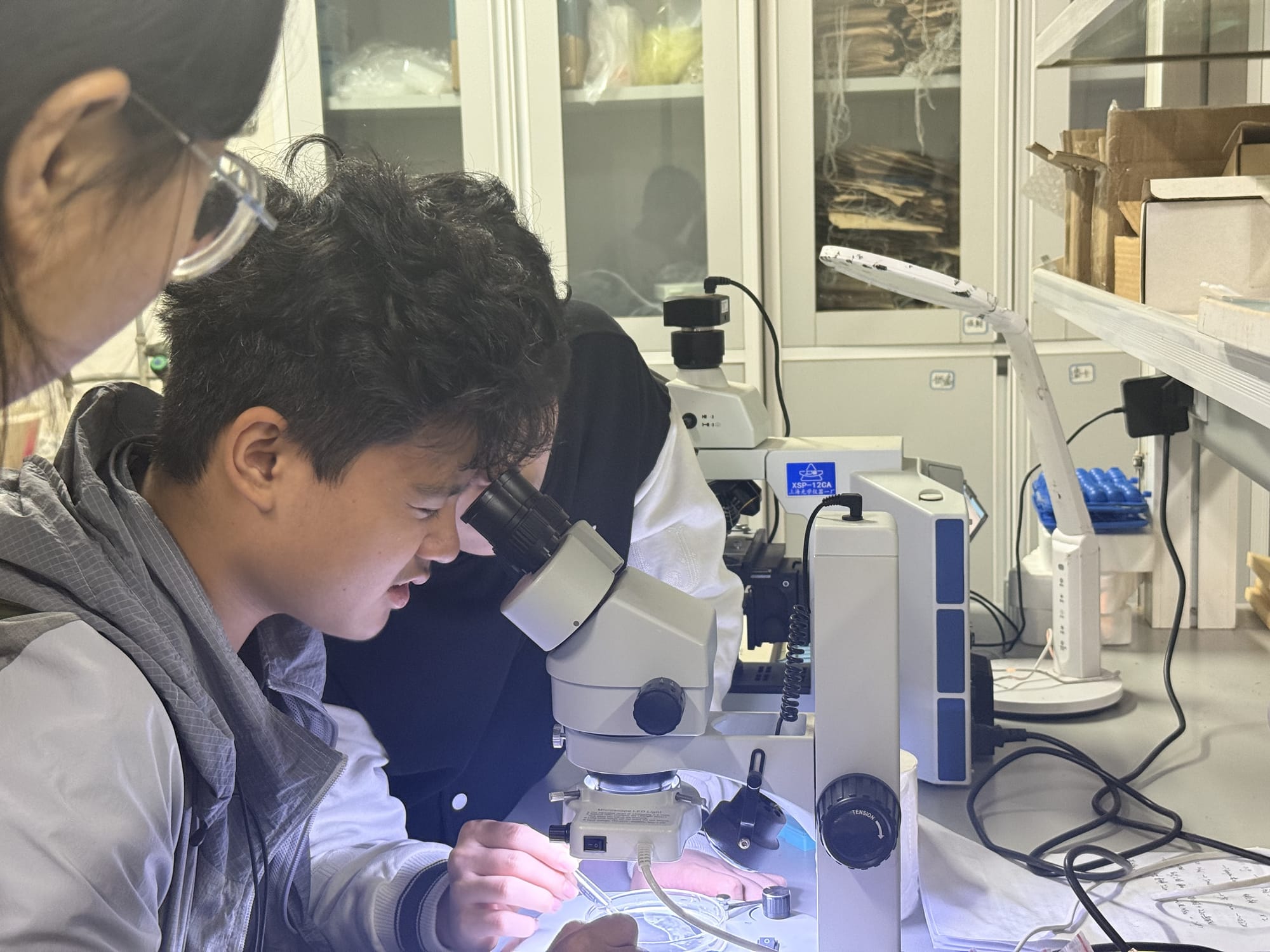 西双版纳热带雨林动植物生态保护志愿者项目 · 真实项目现场 19