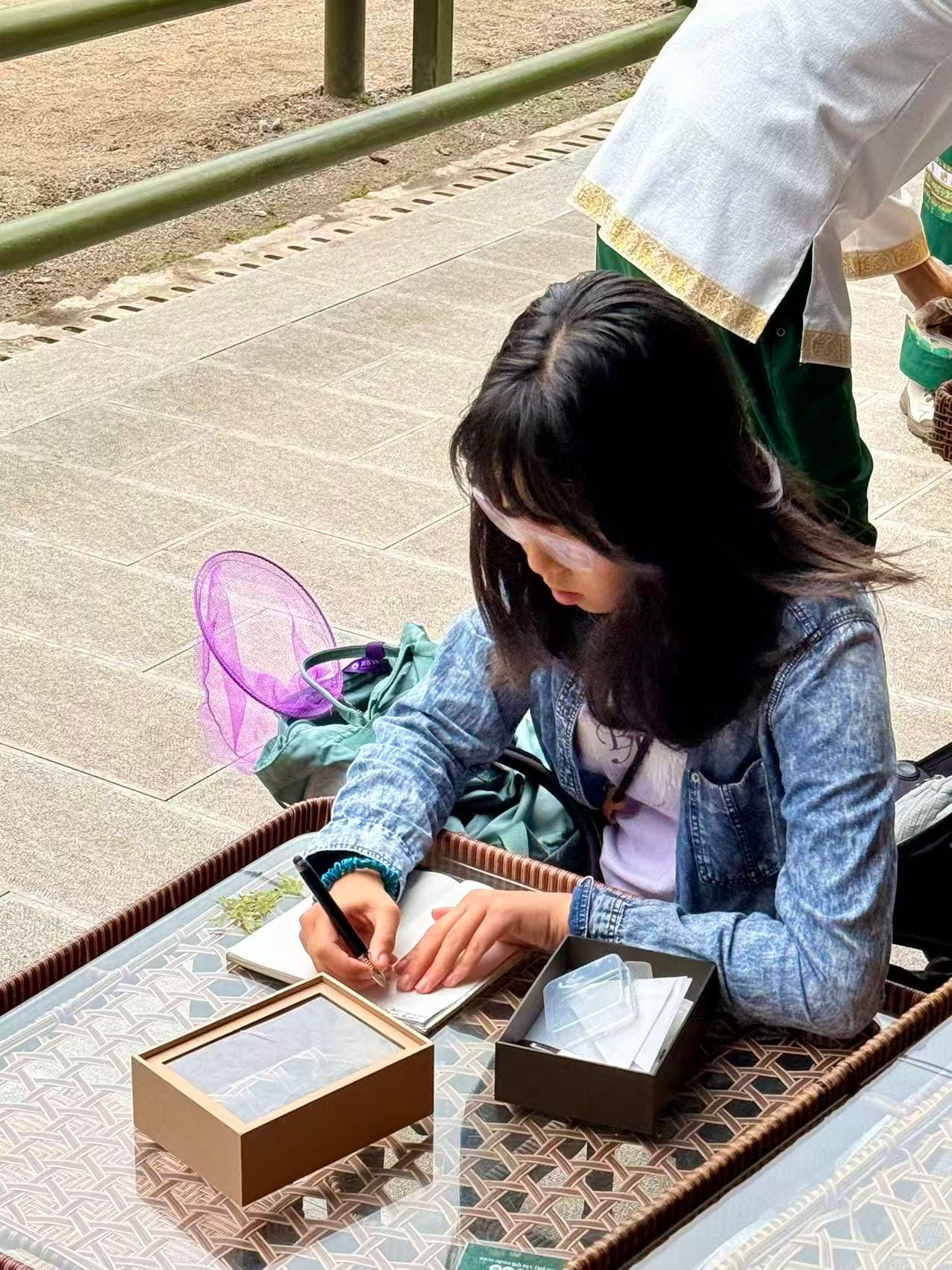 西双版纳热带雨林动植物生态保护志愿者项目 · 真实项目现场 25