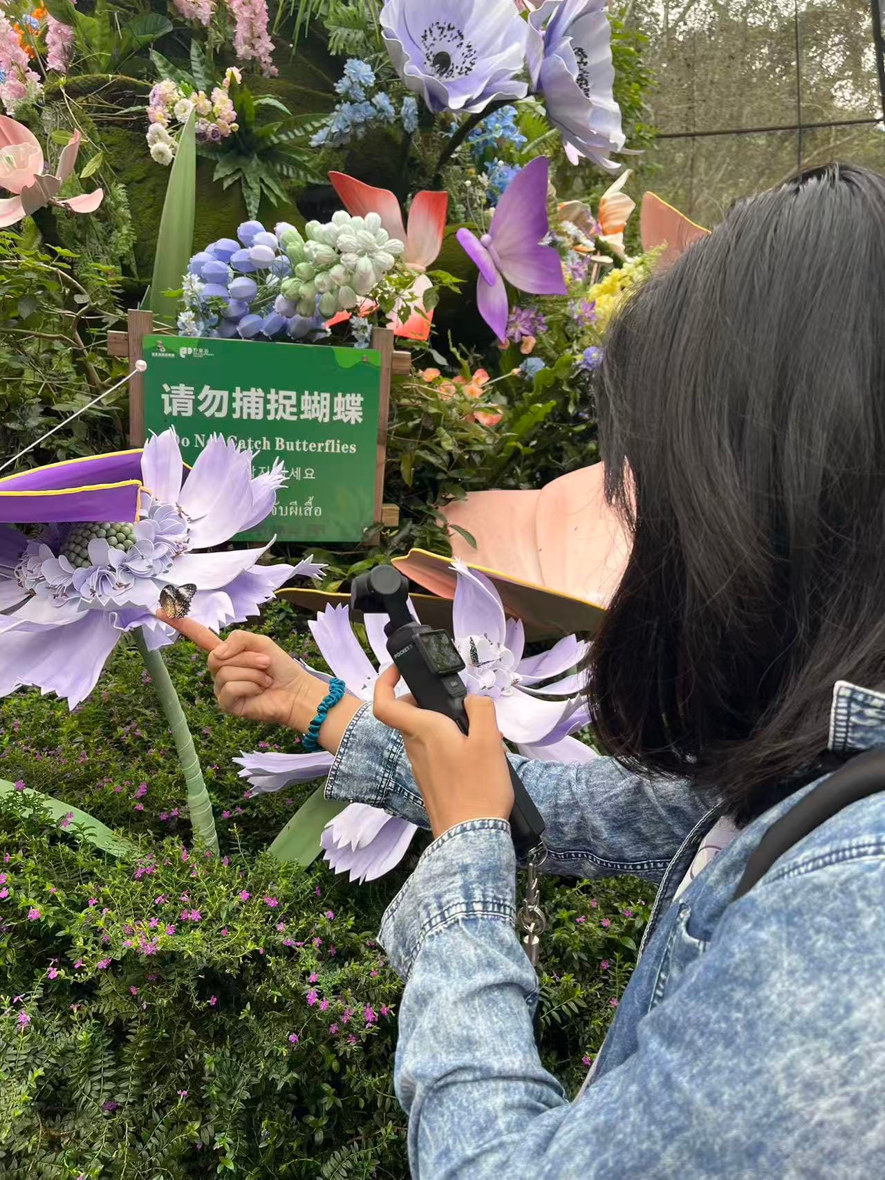 西双版纳热带雨林动植物生态保护志愿者项目 · 真实项目现场 28
