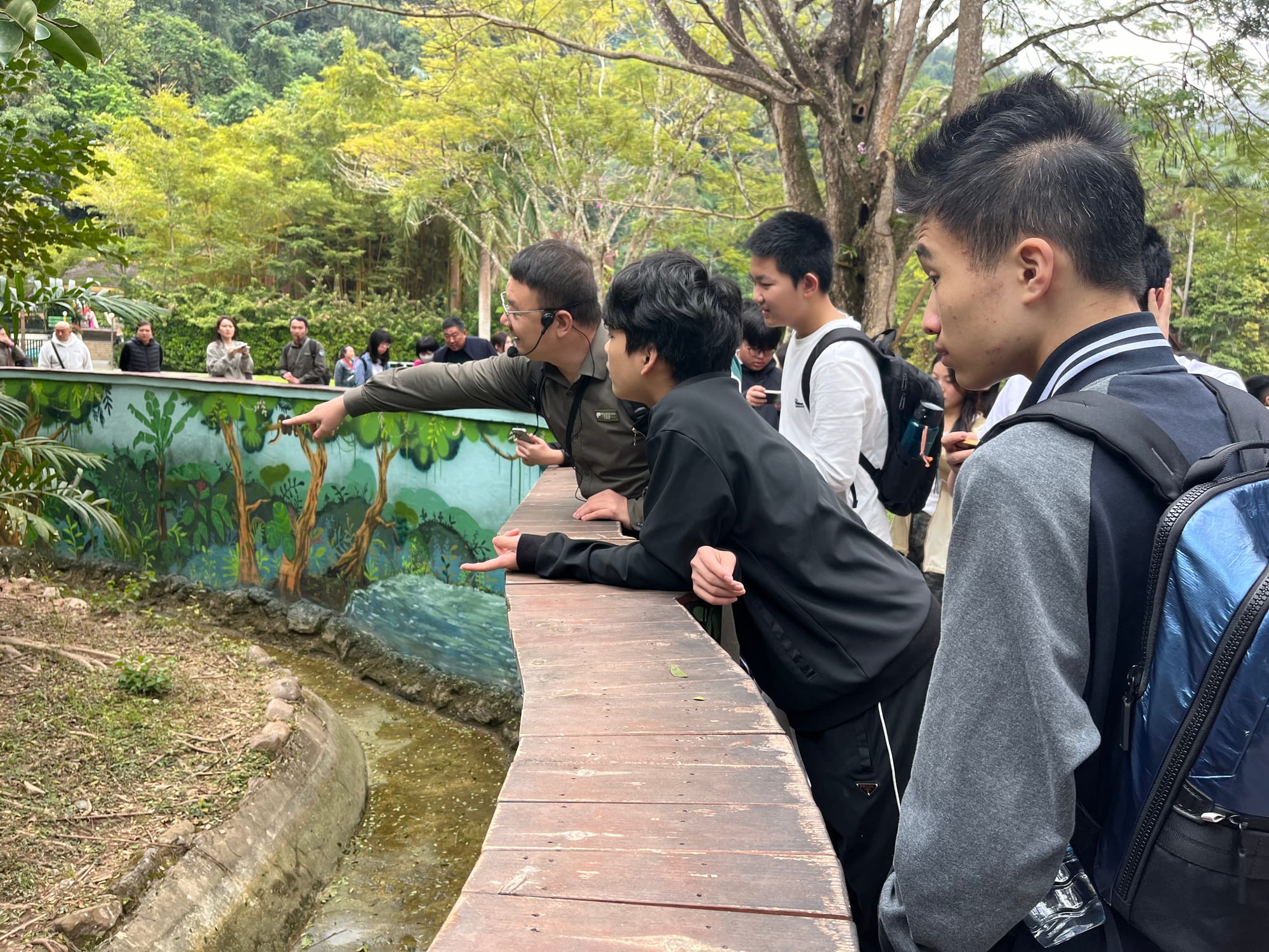 西双版纳热带雨林动植物生态保护志愿者项目 · 真实项目现场 30