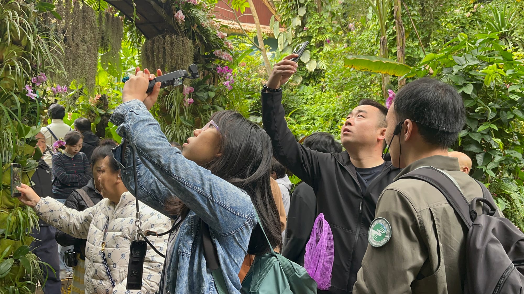 西双版纳热带雨林动植物生态保护志愿者项目 · 学员真实记录