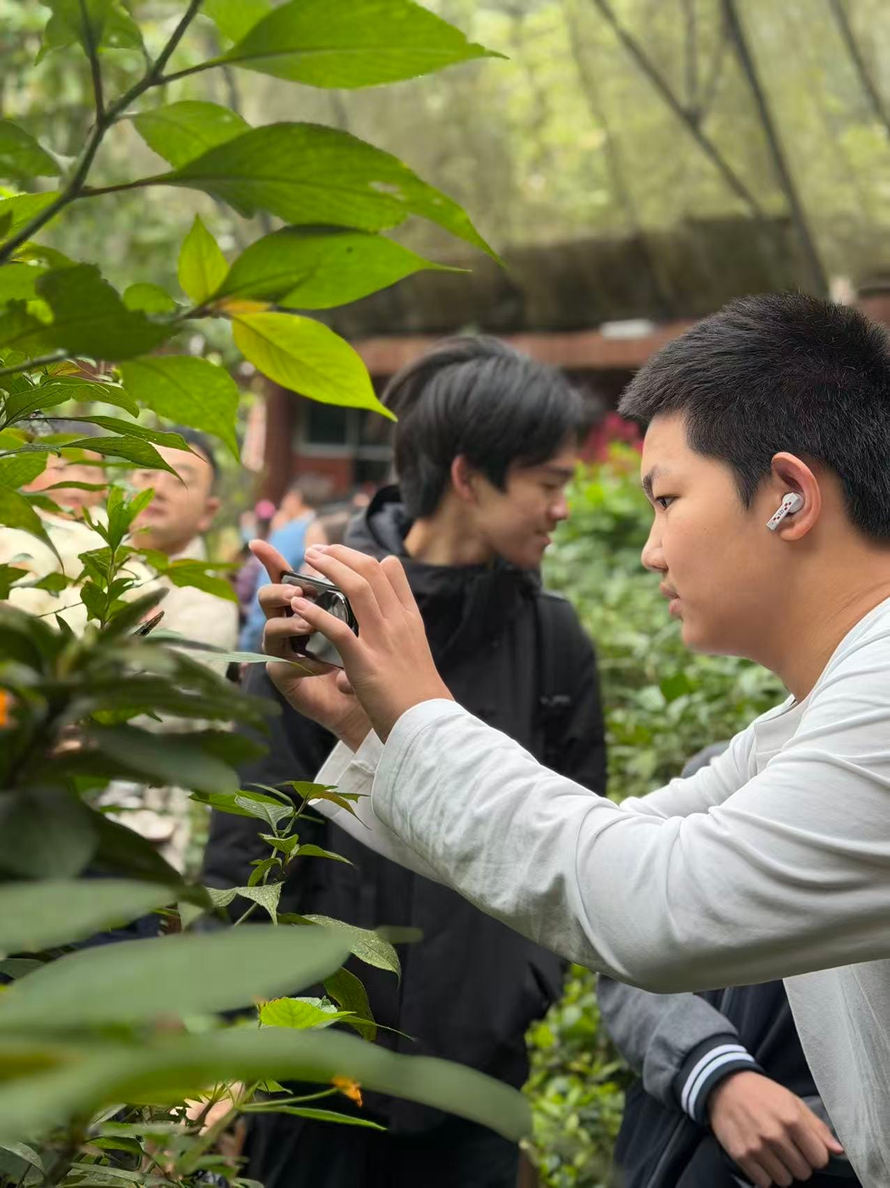 西双版纳热带雨林动植物生态保护志愿者项目 · 真实项目现场 32