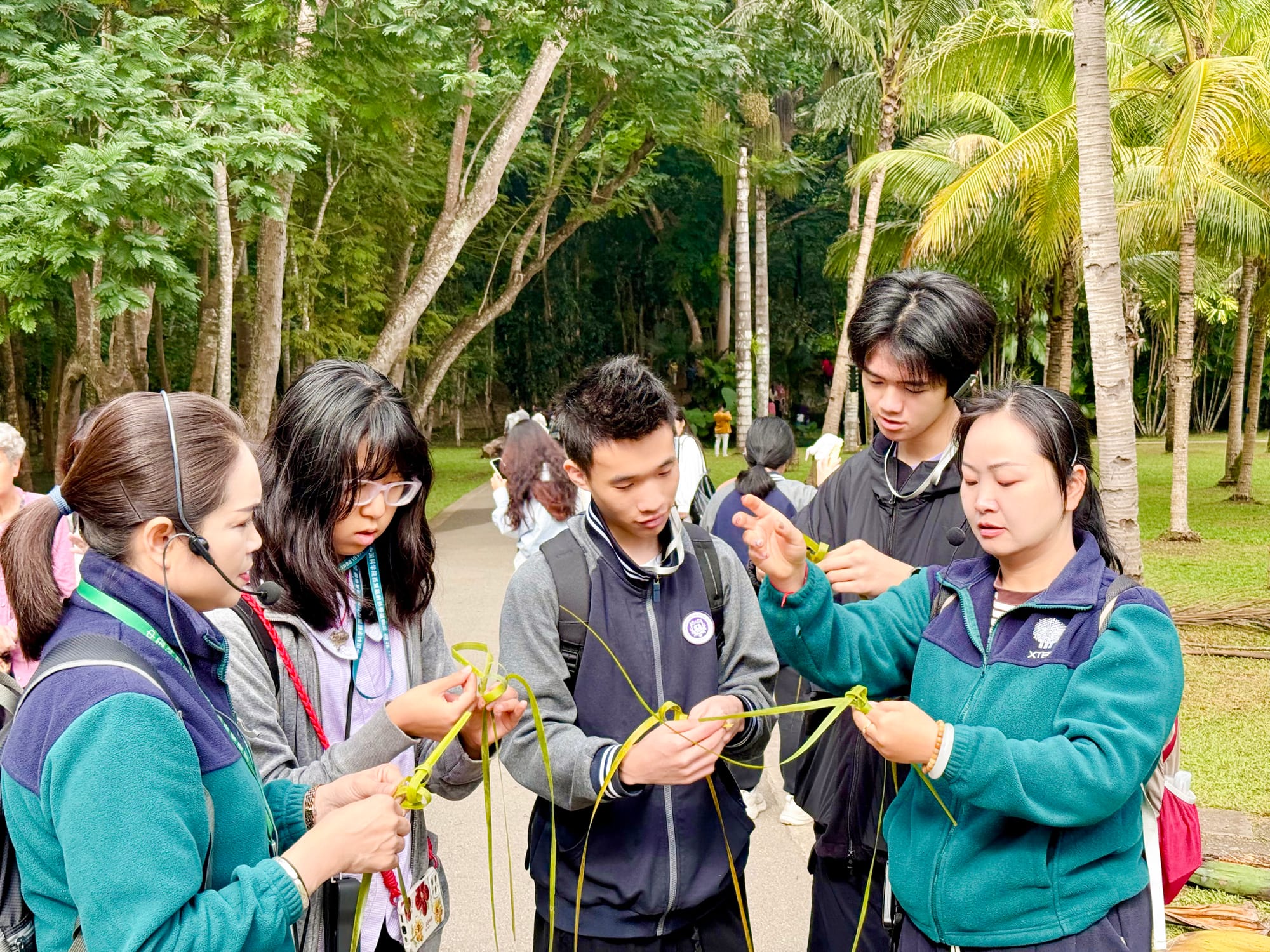 西双版纳热带雨林动植物生态保护志愿者项目 · 真实项目现场 37