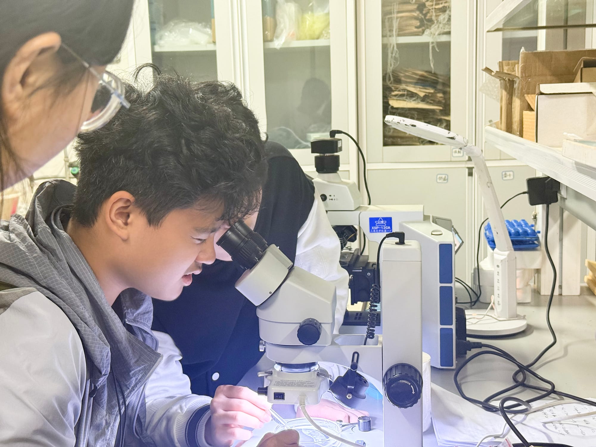 西双版纳热带雨林动植物生态保护志愿者项目 · 真实项目现场 38