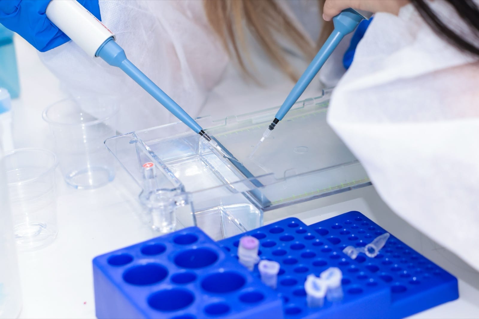 生命科学与医疗医药 · 课堂学习与同伴交流